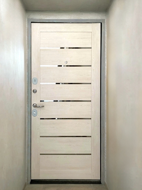 Дверь с тонкими вставками