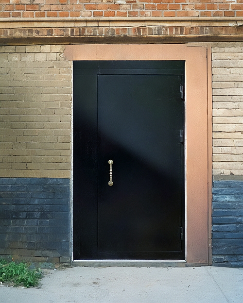 Порошковая подъездная дверь