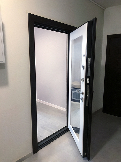 Дверь с зеркалом