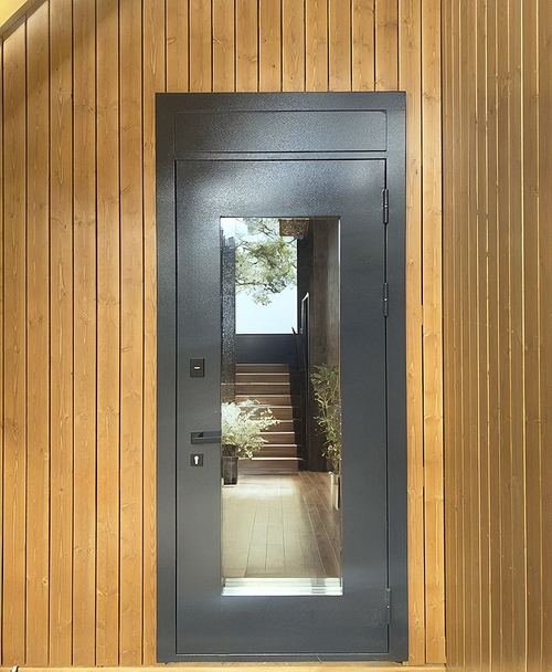 Порошковая дверь со стеклом