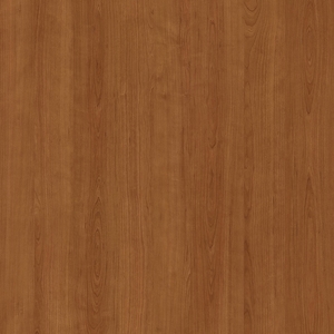 Вишня Американская